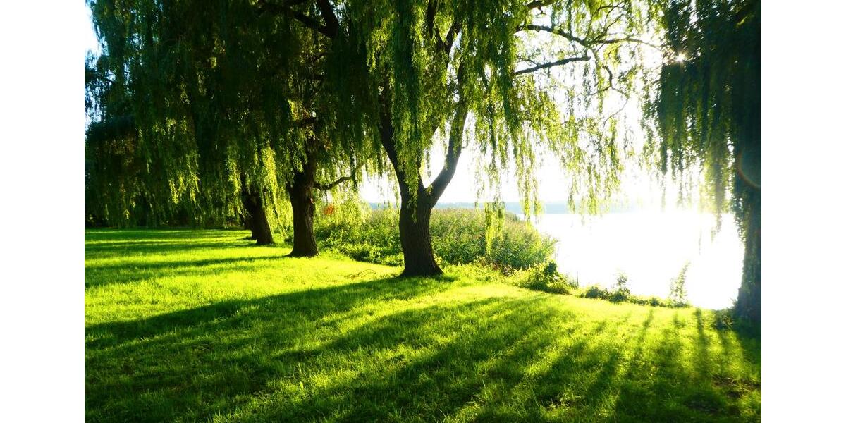 Mehrfamilienhaus, Wohnhaus Warin - 10 Zimmer, 215 m&sup2;, 222.000&euro; | Angebot:26224158