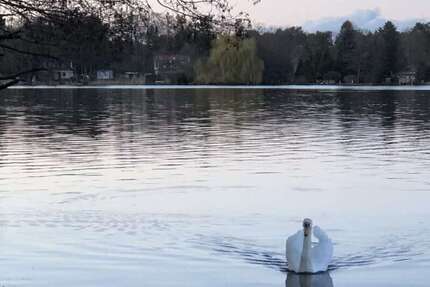 Grundstück Senzig Senzig - 815.000&euro; | Angebot:26365101