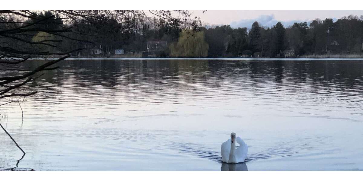 Grundstück Senzig Senzig - 815.000&euro; | Angebot:26365101