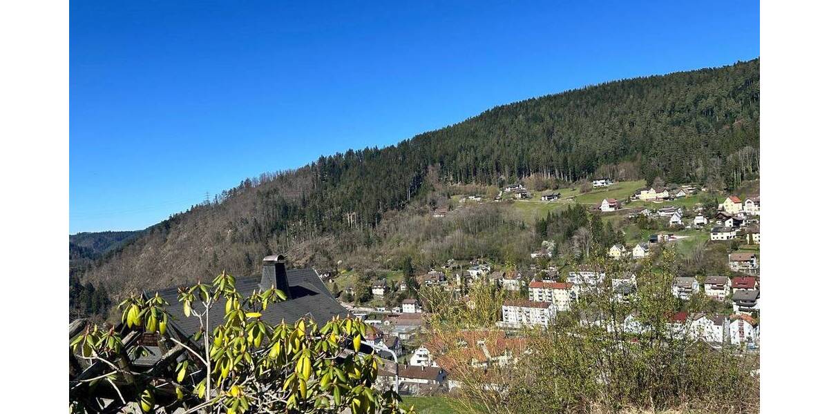 Mehrfamilienhaus, Wohnhaus Schramberg - 6 Zimmer, 136 m&sup2;, 149.000&euro; | Angebot:26377834