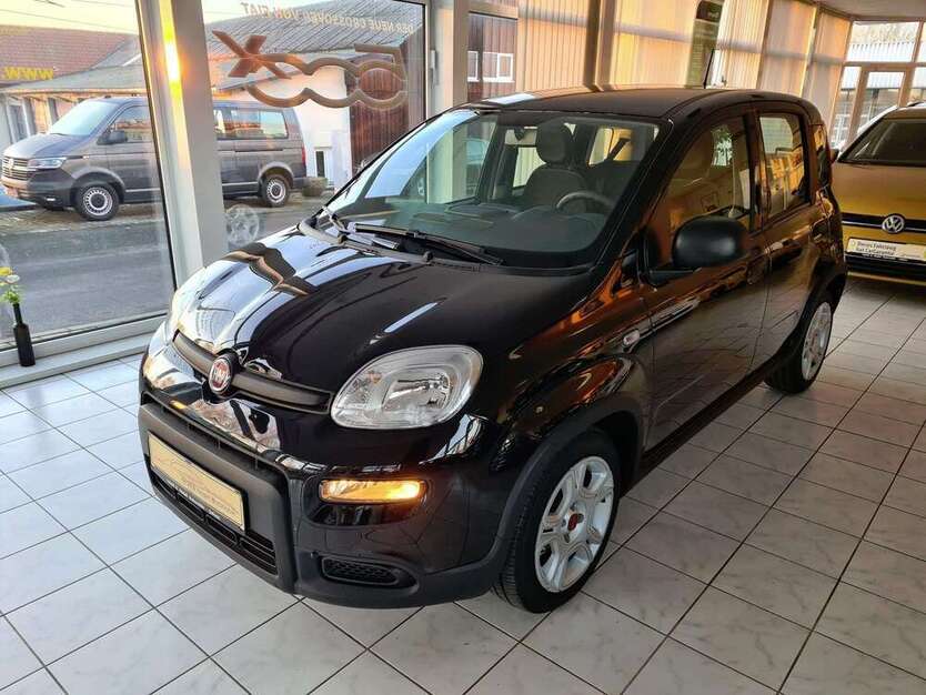 Panda