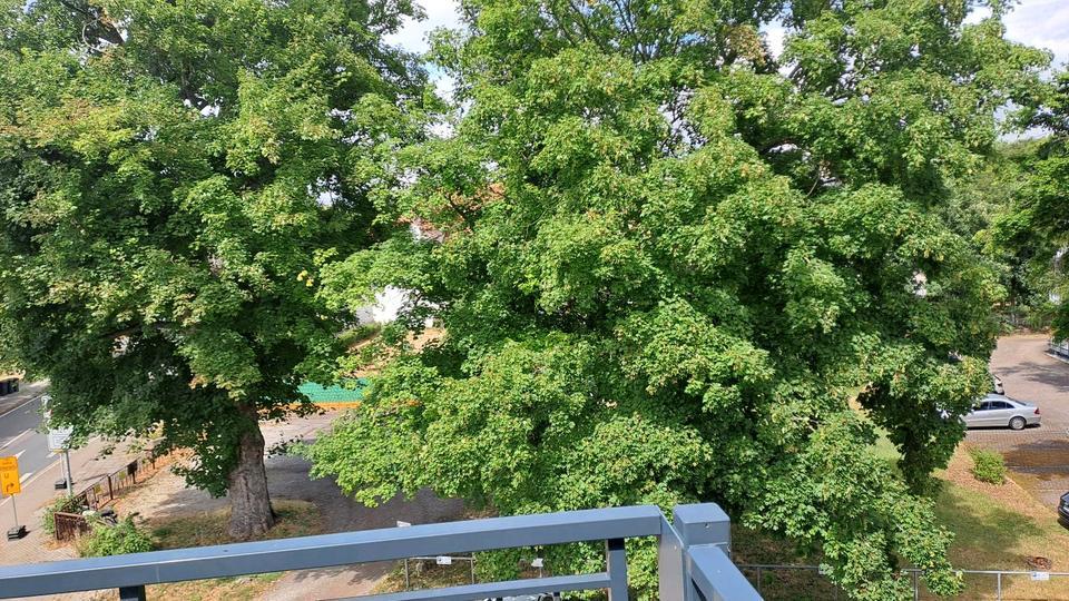 barrierefreie Wohnung zu vermieten zimmer