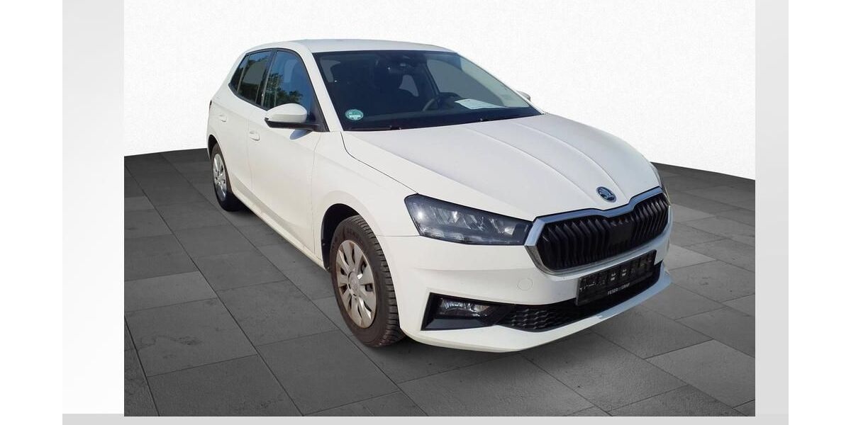 Skoda Fabia 11.626 km 16.940 &euro; Magdeburg 39126
