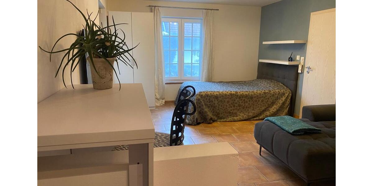 Erdgeschoßwohnung Alzenau - 1 Zimmer, 30 m&sup2;, 500&euro; | Angebot:24739388