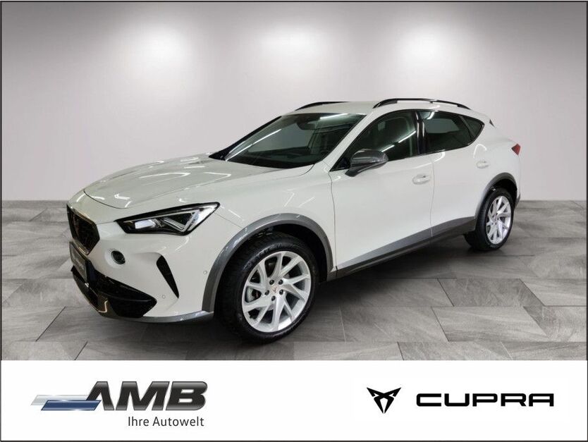 Cupra Formentor 49.370 km 29.880 € Borna 04552