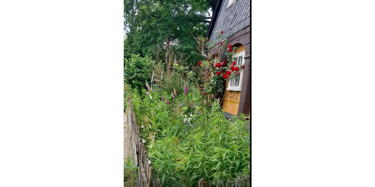 Einfamilienhaus Ebersbach-Neugersdorf Neugersdorf - 3.5 Zimmer, 99 m&sup2;, 40.000&euro; | Angebot:23231605