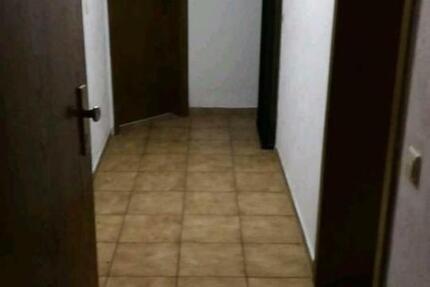 2-Zimmerwohnung EBK voll möbliert warm 2 zimmer