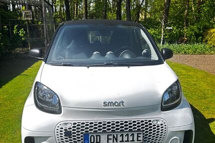 Smart ForTwo 29.099 km 8.800 &euro; Geesthacht 21502