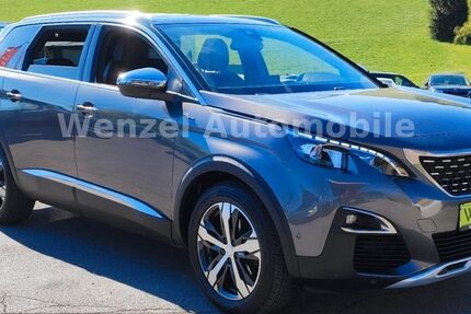 Peugeot 5008 166.410 km 17.995 &euro; Halver 58553