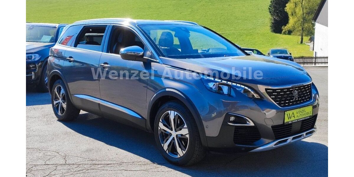 Peugeot 5008 166.410 km 17.995 &euro; Halver 58553