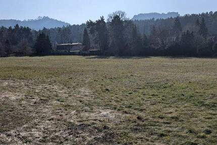 Grundstück Gohrisch Kurort Gohrisch - 180.000&euro; | Angebot:25705513
