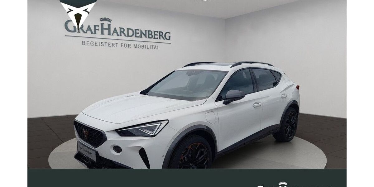 Cupra Formentor 11.750 km 36.990 &euro; Landau 76829