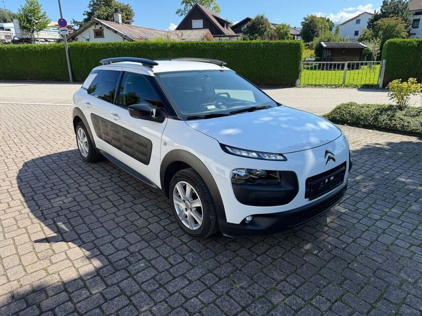 C4 Cactus