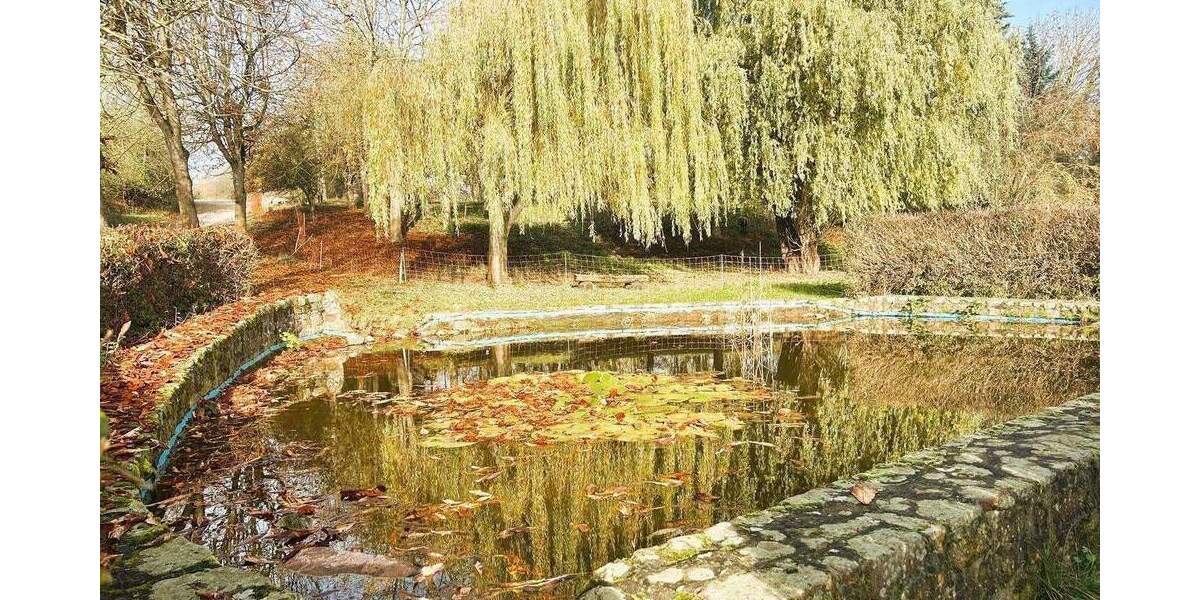 Einfamilienhaus Seegebiet Mansfelder Land Hornburg - 4 Zimmer, 115 m&sup2;, 1.100&euro; | Angebot:26358741