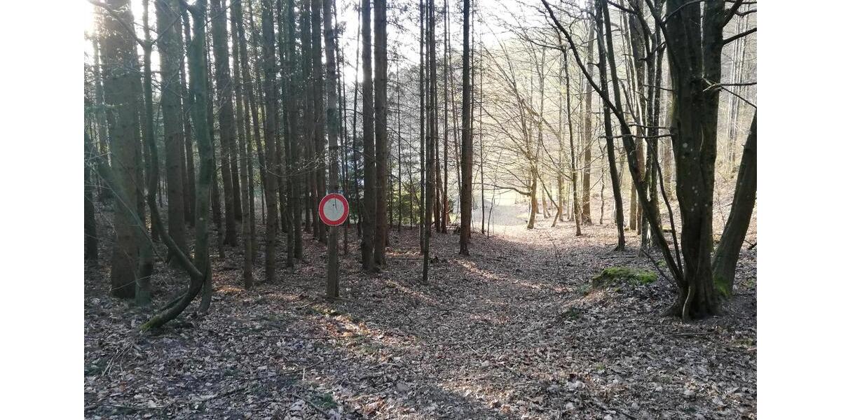 Erdgeschoßwohnung Wilgartswiesen - 3 Zimmer, 140 m&sup2;, 1.000&euro; | Angebot:26492669