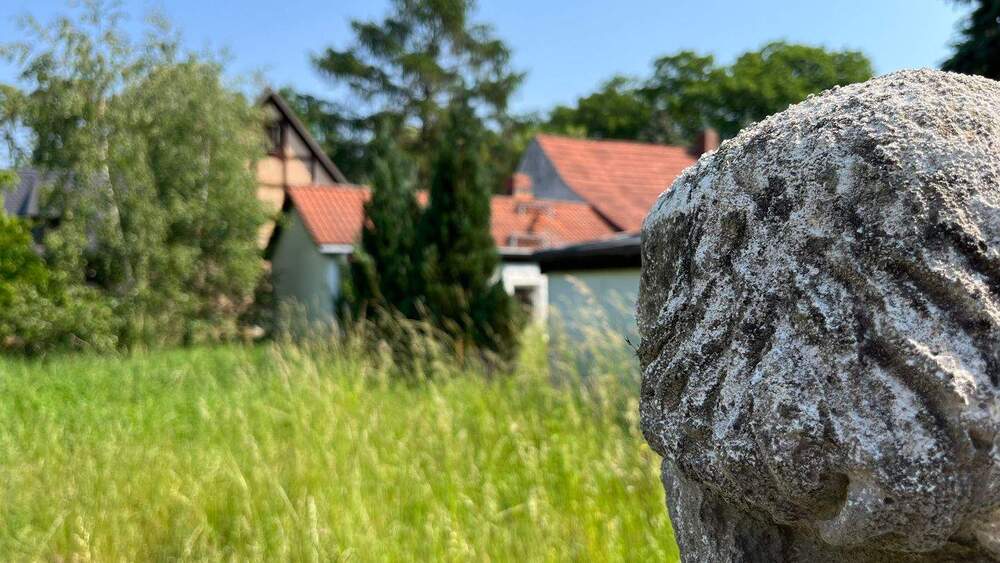 Grundstück Kemberg Gniest - 500.000&euro; | Angebot:25999317