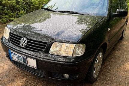 VW Polo 121.314 km 1.999 &euro; Bad Nenndorf 31542