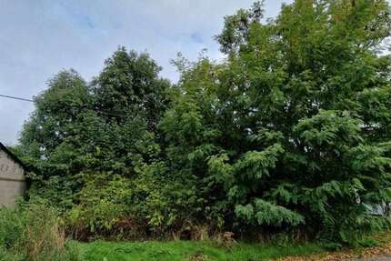 Grundstück Lebach - 102.900&euro; | Angebot:16267473