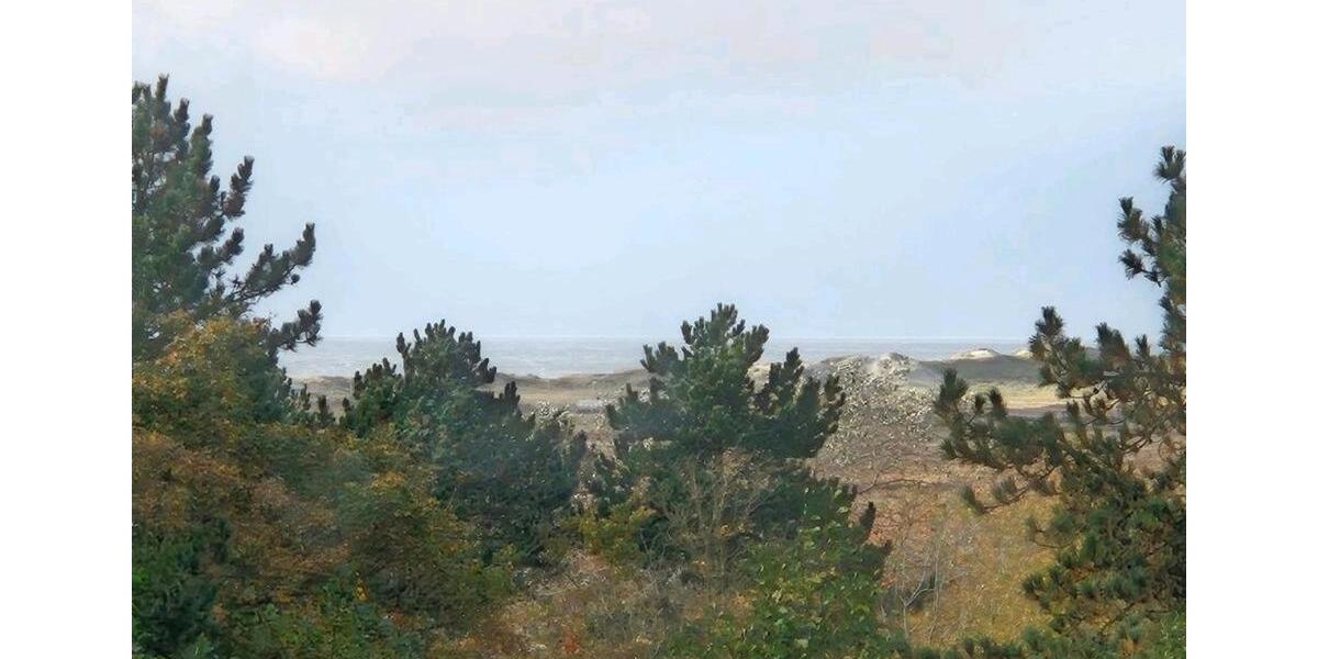 Etagenwohnung Bredstedt - 1 Zimmer, 26 m&sup2;, 700&euro; | Angebot:24749720