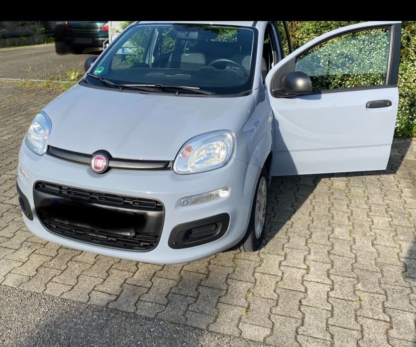 New Panda
