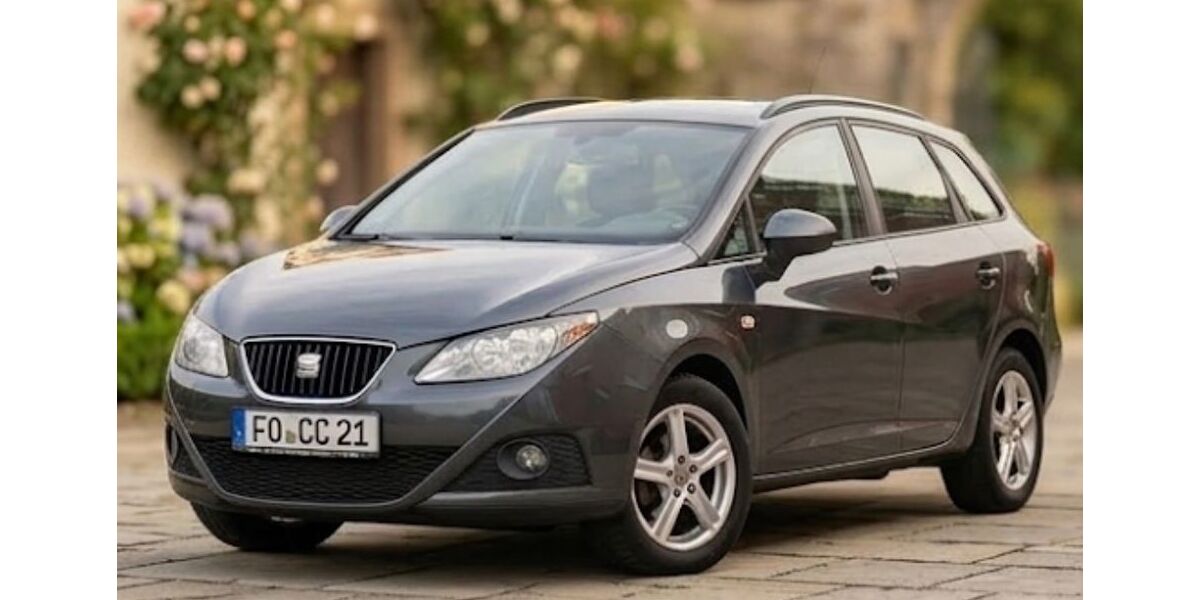 Seat Ibiza 116.000 km 3.500 &euro; Döhlau 95182
