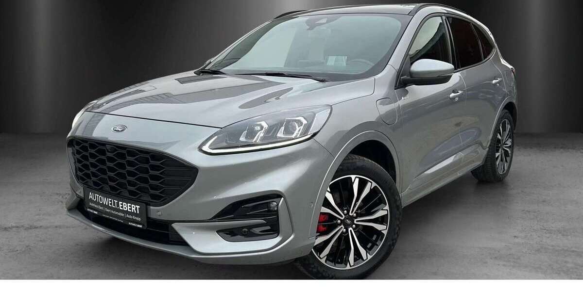 Ford Kuga 49.900 km 24.890 &euro; Frankenthal 67227
