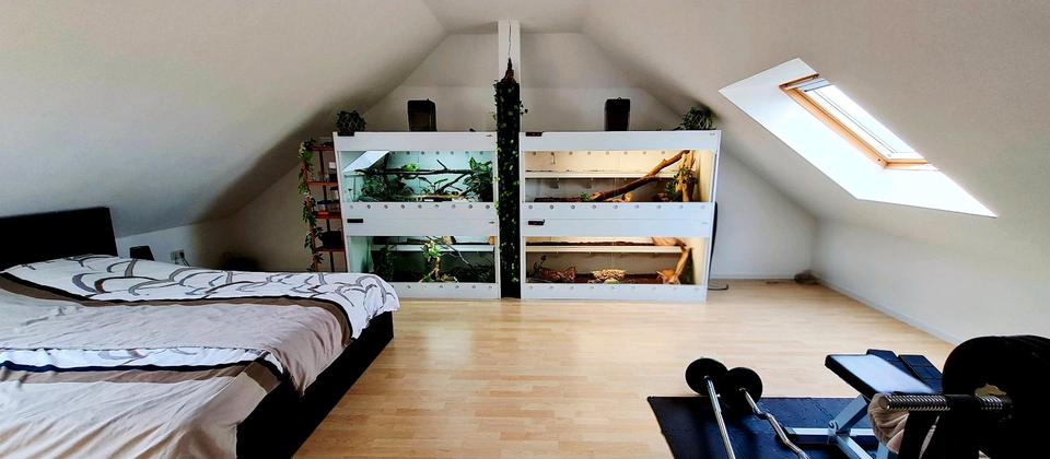 Maisonettenwohnung Ludwigshafen am Rhein Ludwigshafen-Oggersheim - 4 Zimmer, 102 m&sup2;, 310.000&euro; | Angebot:25992425