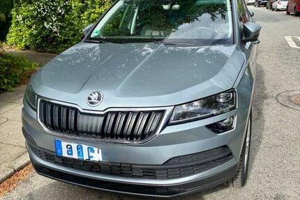 Skoda Karoq 166.000 km 16.250 &euro; Norderstedt 22850