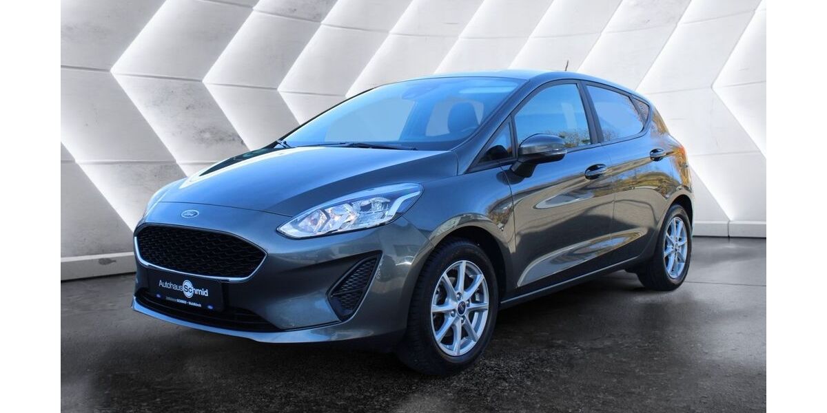 Ford Fiesta 98.000 km 8.300 &euro; Waldkirch 79183