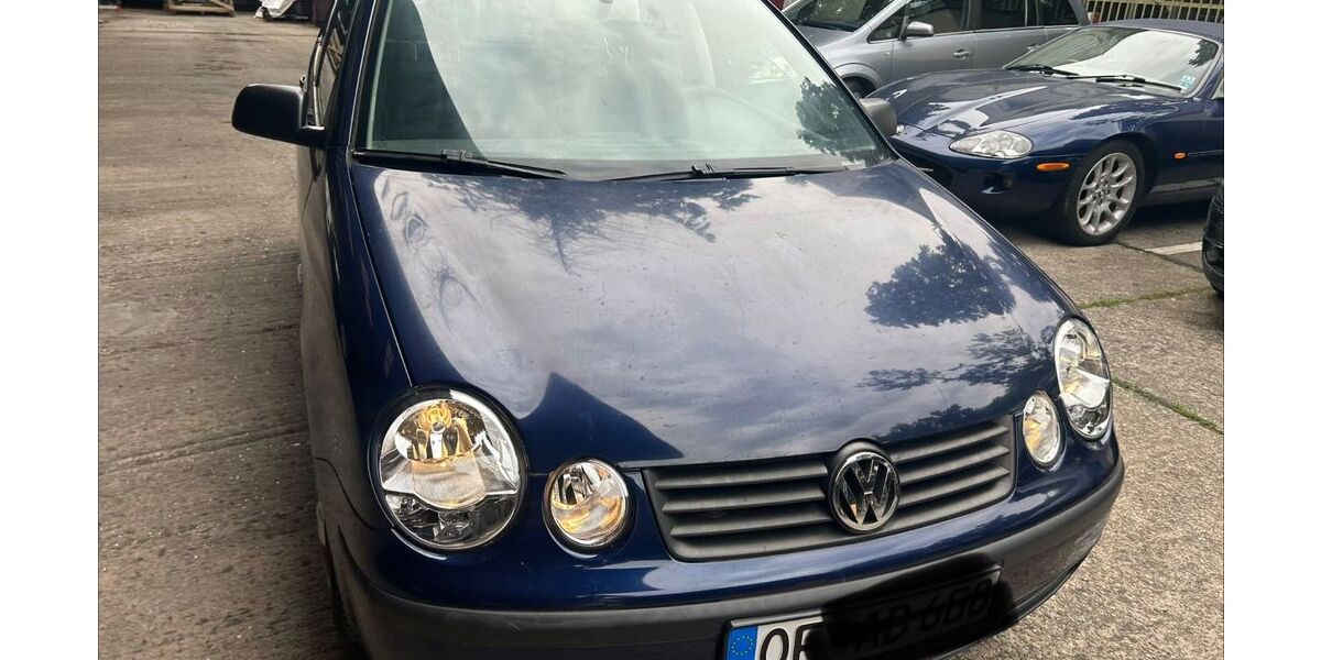 VW Polo 133.000 km 699 &euro; Offenbach 63069