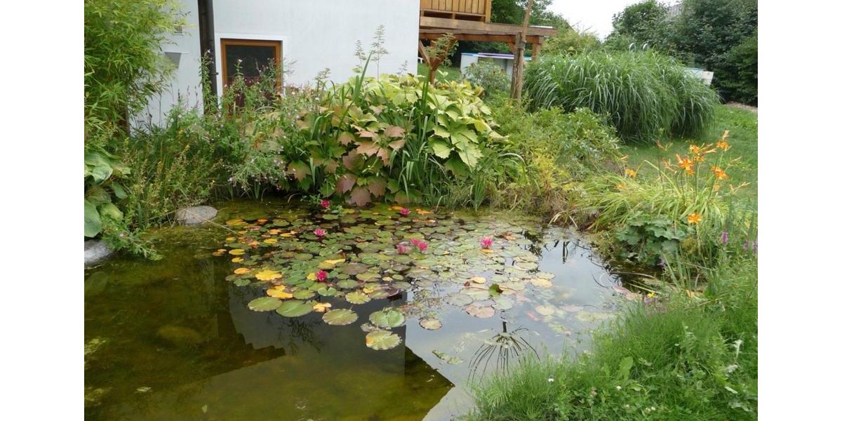 Einfamilienhaus Pfreimd - 12 Zimmer, 300 m&sup2;, 690.000&euro; | Angebot:26640058