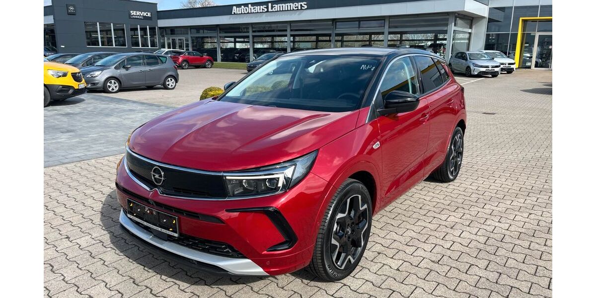 Opel Grandland (X) 5.869 km 21.990 &euro; Wietmarschen / Lohne 49835