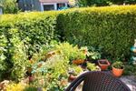 Etagenwohnung Wunsiedel - 2 Zimmer, 48 m&sup2;, 77.000&euro; | Angebot:27013817