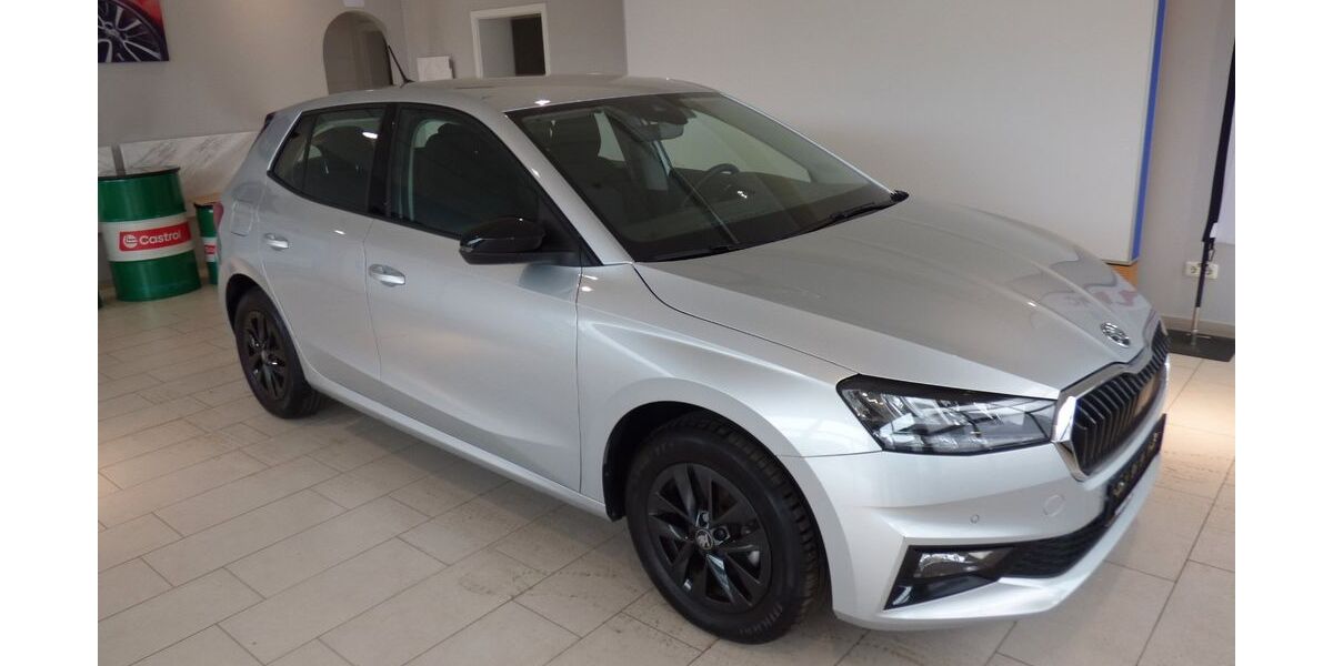 Skoda Fabia 17.920 km 18.950 &euro; Ahorntal 95491