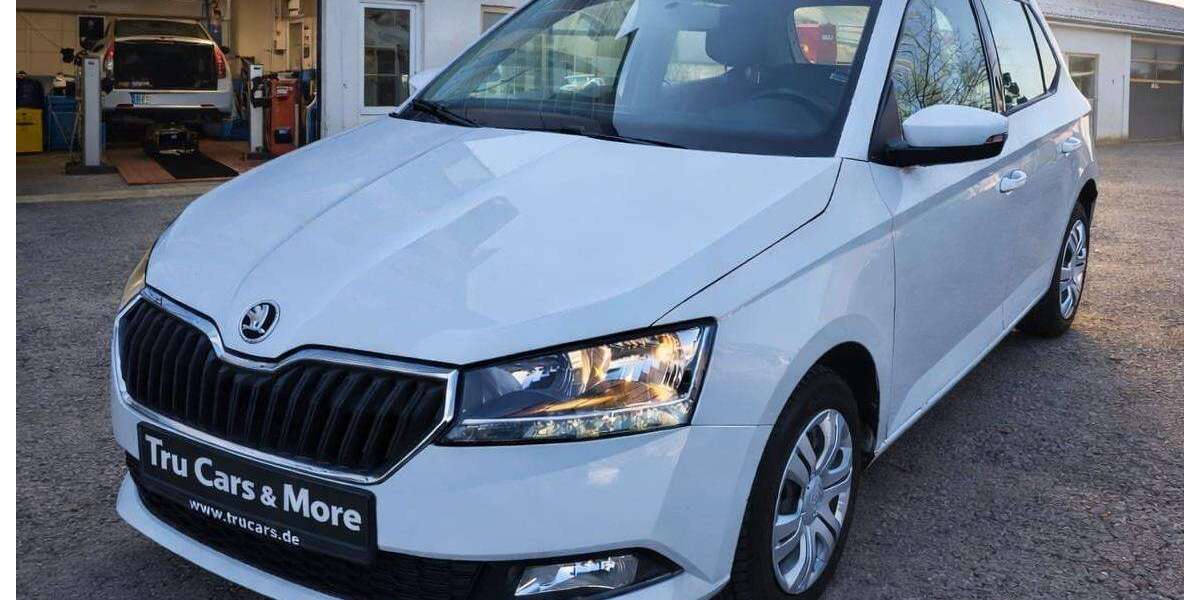 Skoda Fabia 91.000 km 8.790 &euro; Hof 95030