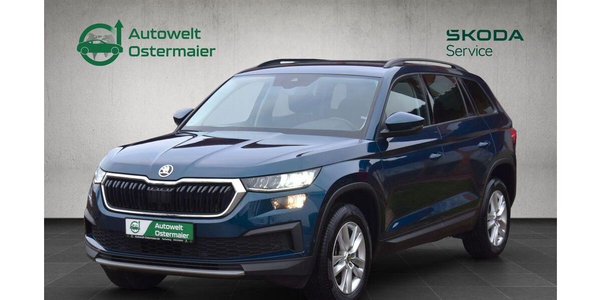 Skoda Kodiaq 55.885 km 31.785 € Tacherting 83342