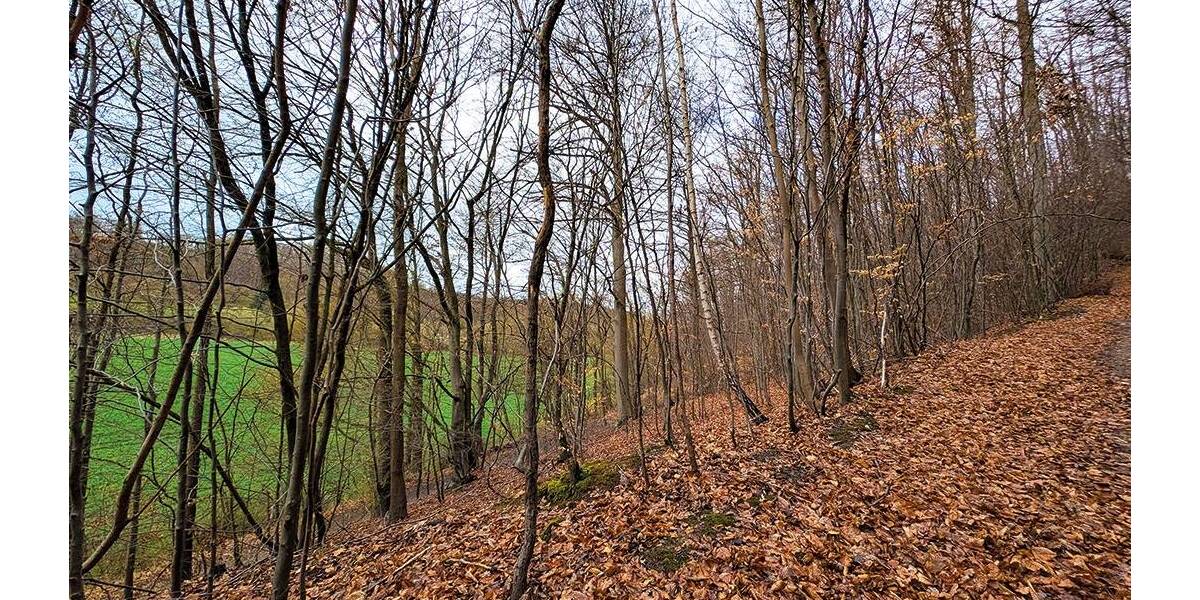 Grundstück Einbeck Orxhausen - 49.000&euro; | Angebot:26246310