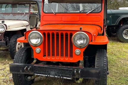 Jeep Willys 21.000 km 12.850 € Trebbin 14959