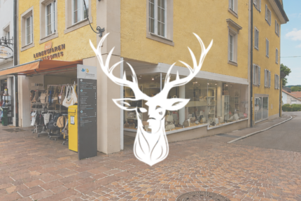 Gewerbeobjekt Waldshut - 6.700&euro; | Angebot:26974968