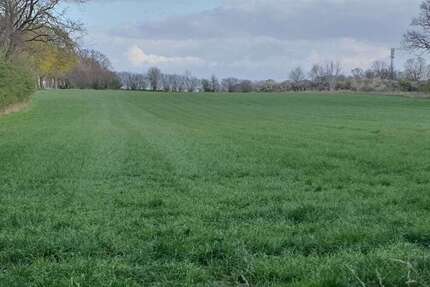 Grundstück Altenberge - 313.794&euro; | Angebot:26026993