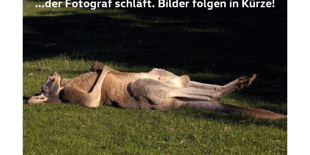 Renault ZOE 67.550 km 12.350 &euro; Badbergen 49635