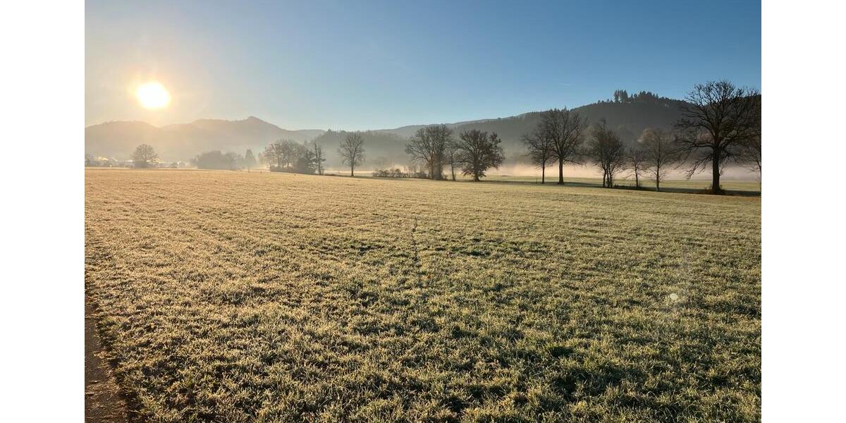Etagenwohnung Freiburg im Breisgau Ebnet - 3 Zimmer, 80 m&sup2;, 1.350&euro; | Angebot:25403644