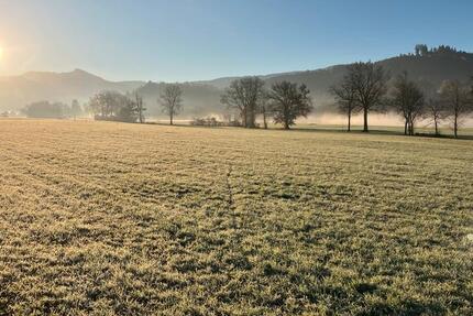 Wohnung Freiburg im Breisgau Ebnet - 3 Zimmer, 80 m&sup2;, 1.350&euro; | Angebot:25403644