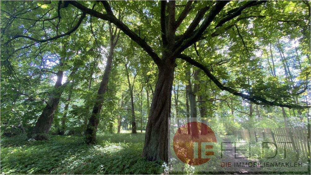 Bauernhaus, Landhaus Goldberg - 6 Zimmer, 150 m&sup2;, 119.000&euro; | Angebot:25821875