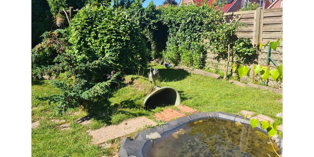 Einfamilienhaus Schortens - 5 Zimmer, 126 m&sup2;, 145.000&euro; | Angebot:27014460