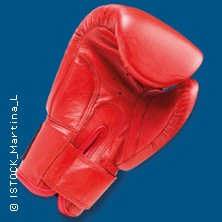 Die Känguru-Chroniken 26.12.2025 Großes Haus, Volkstheater Rostock