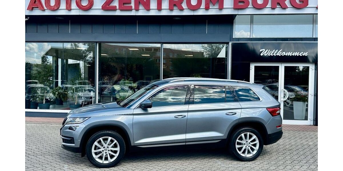 Skoda Kodiaq 42.200 km 18.950 &euro; Burg 39288