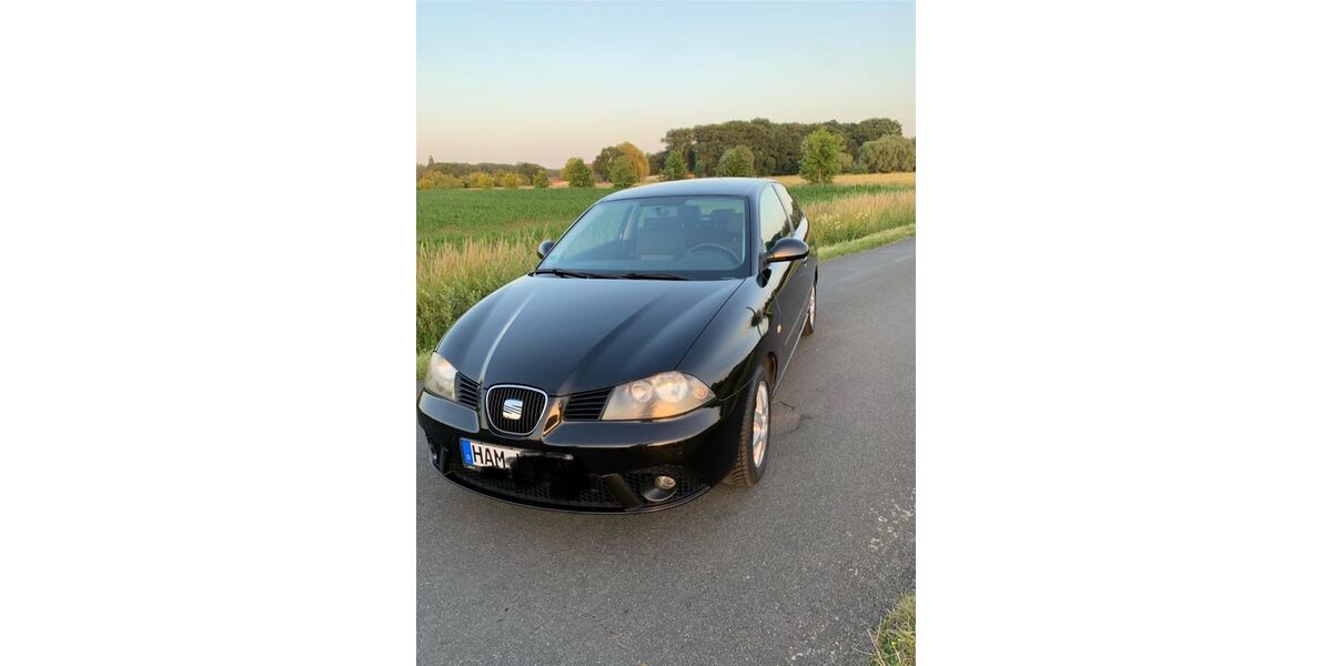 Seat Ibiza 133.000 km 3.390 &euro; Hamm 59071