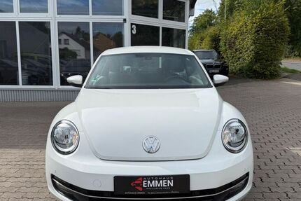 VW Beetle