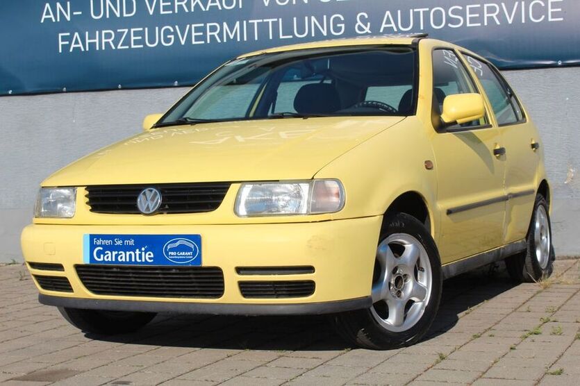 Polo